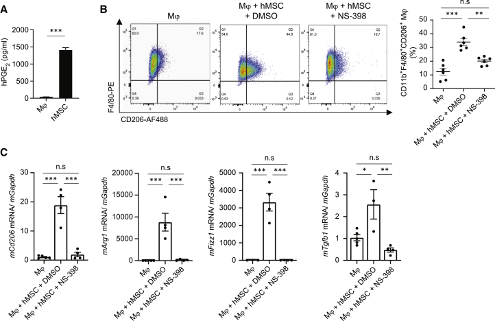 Figure 6