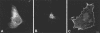 FIG. 5.