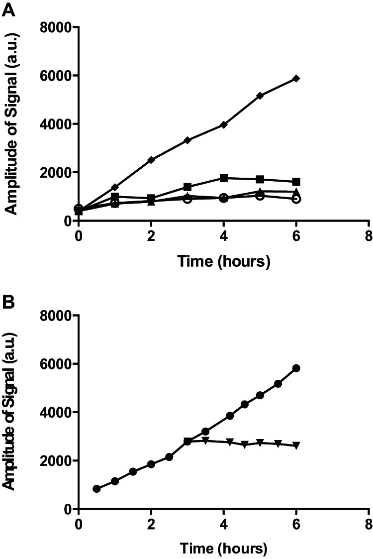 FIG 3