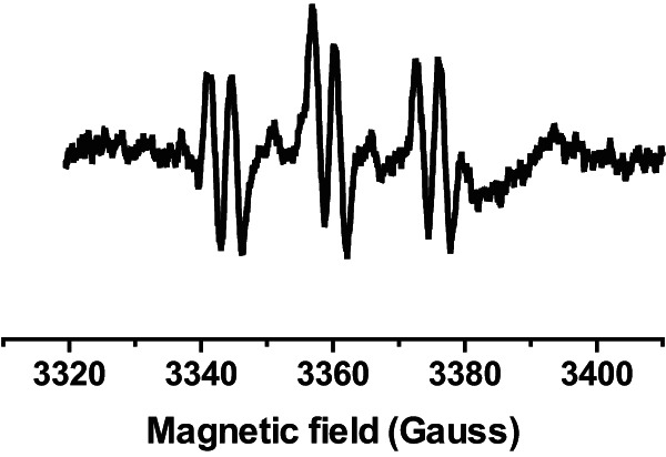 FIG 1