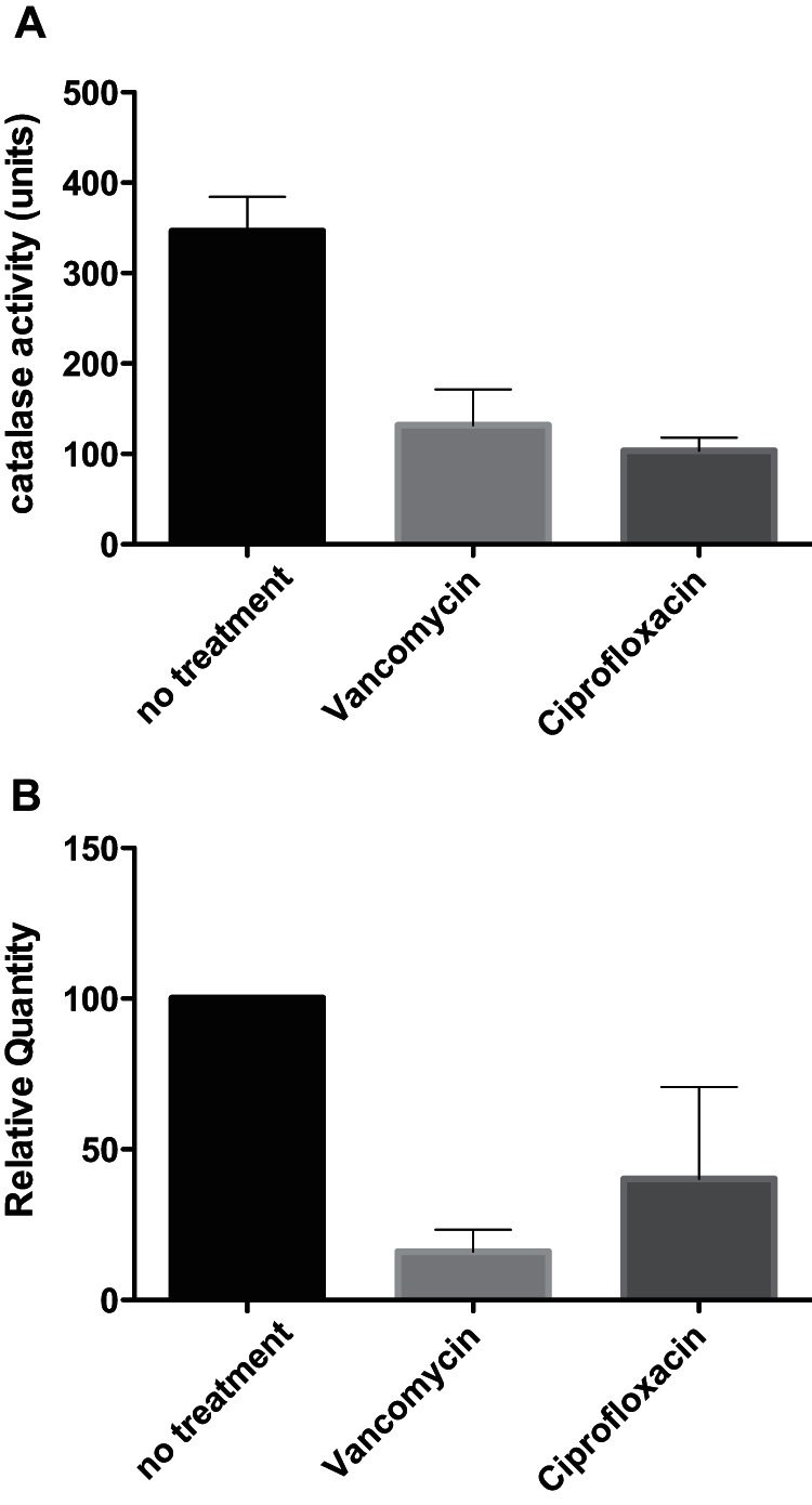 FIG 6