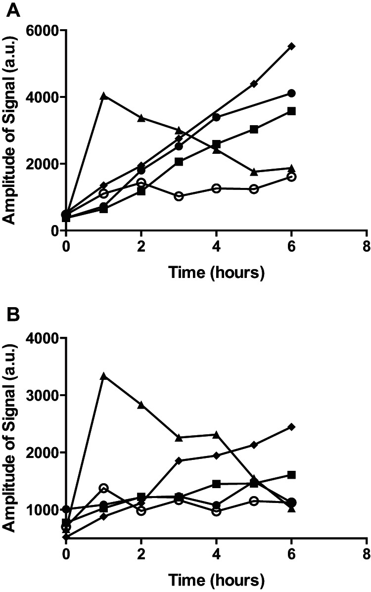 FIG 2