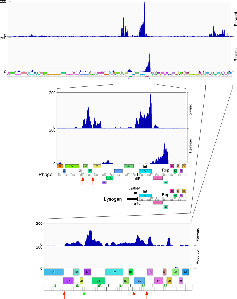 Figure 5.