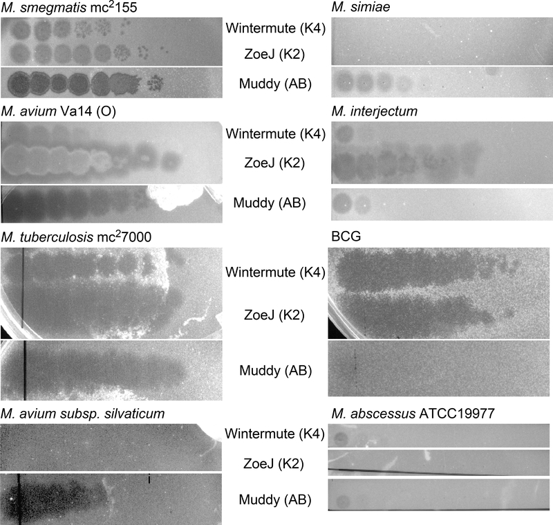 Figure 3.