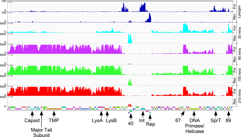 Figure 6.