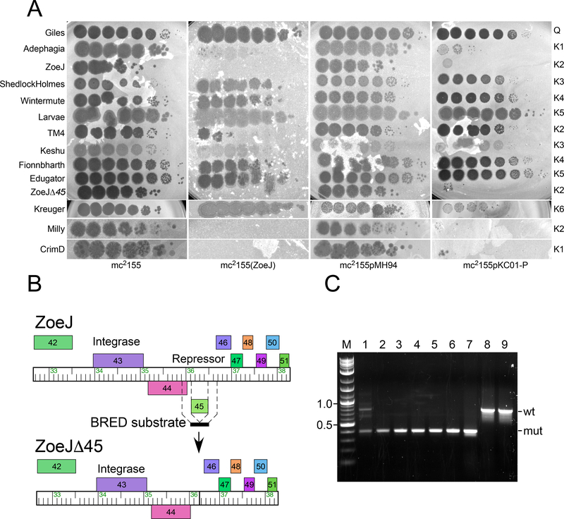 Figure 4.