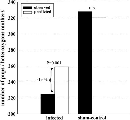 Figure 3.—