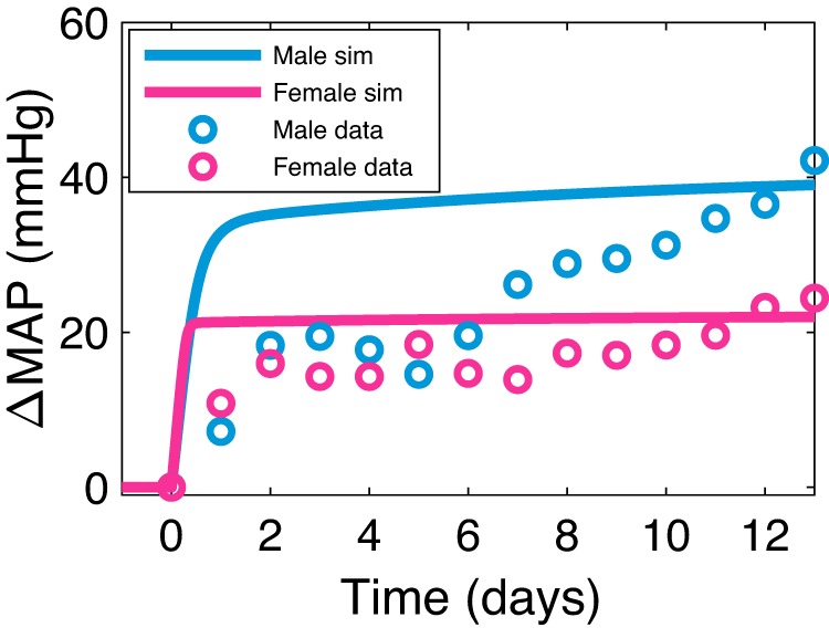 Fig. 6.