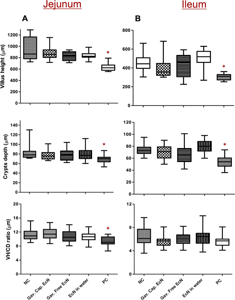 FIG 4