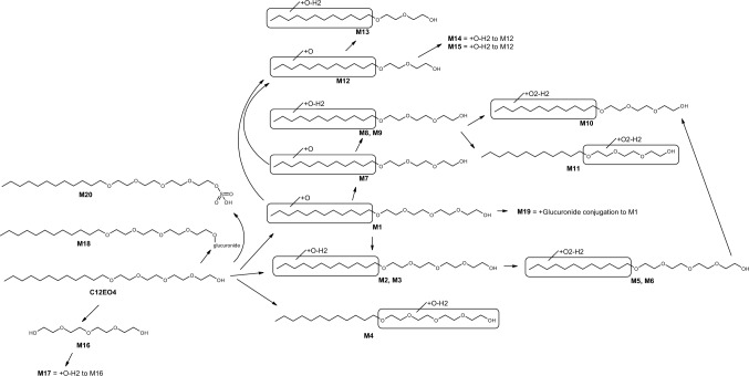 Fig. 19