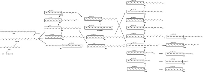 Fig. 20