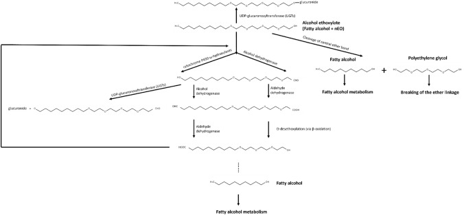 Fig. 4