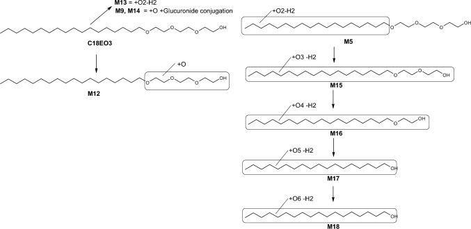 Fig. 24