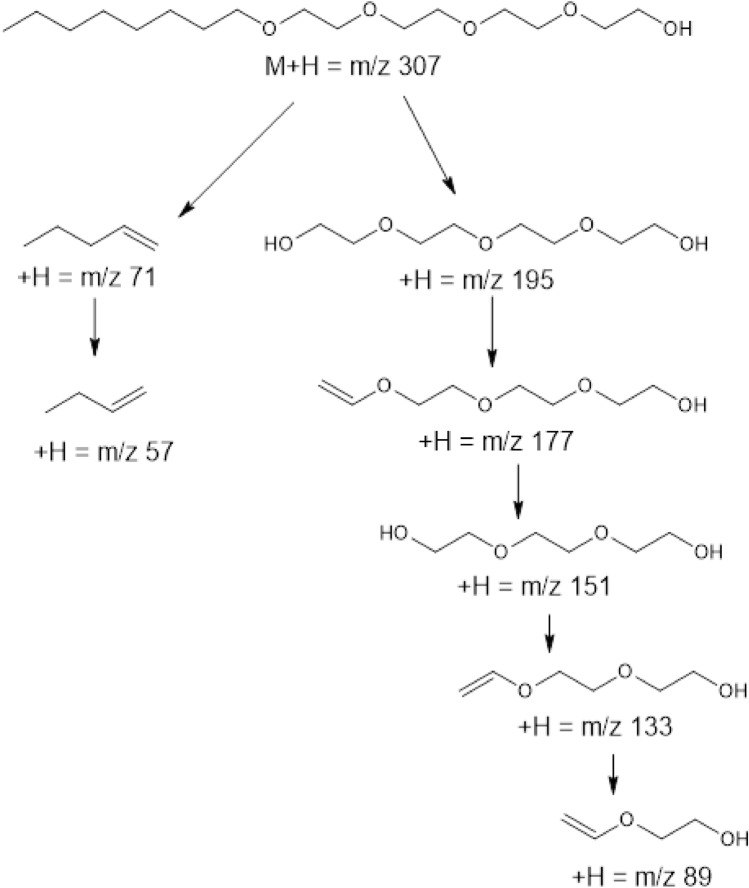 Fig. 5