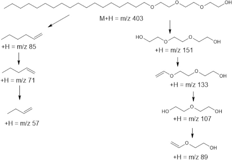 Fig. 13