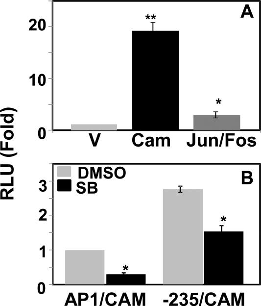 Fig. 8