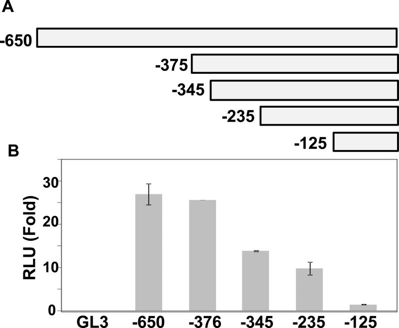 Fig.3