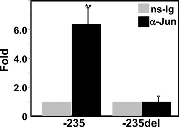 Fig. 9