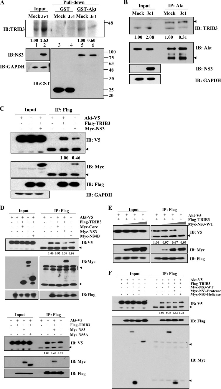 FIG 6