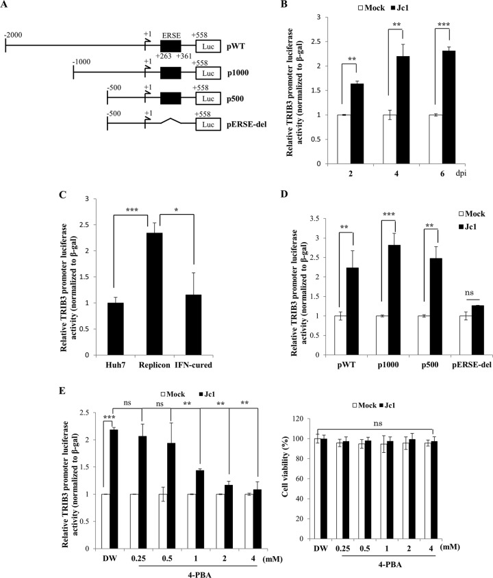 FIG 2