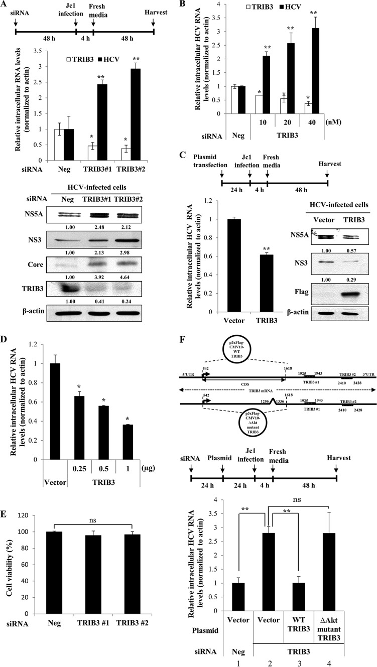 FIG 3