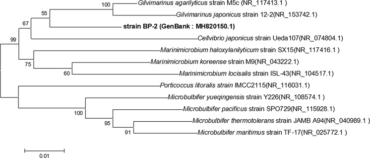 Fig. 1