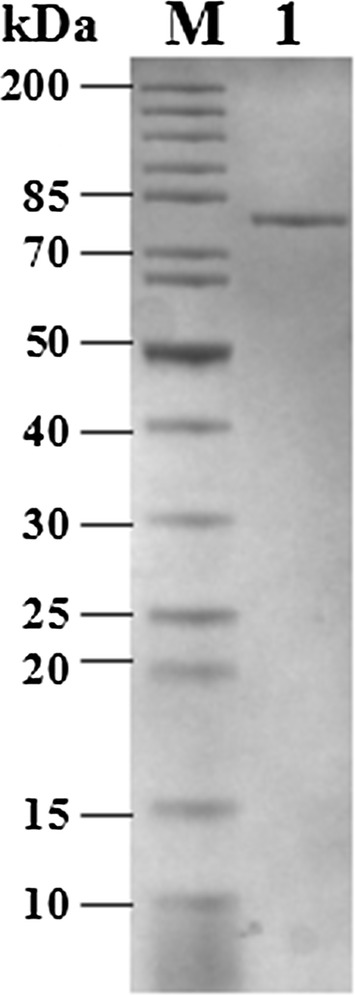 Fig. 2