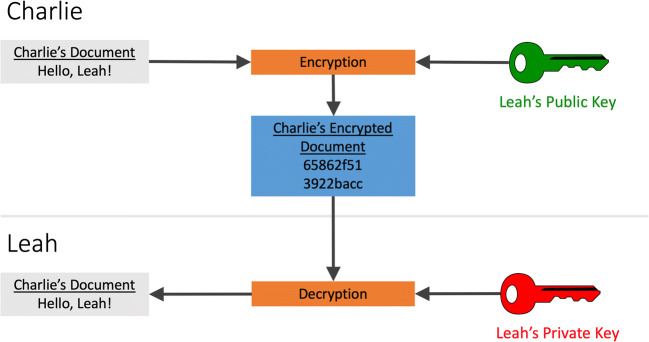 Fig. 3