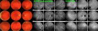 Fig. 35
