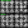 Fig. 34