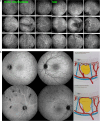 Fig. 29