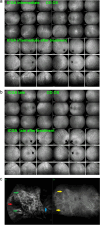 Fig. 23