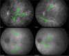 Fig. 8