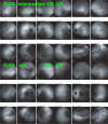 Fig. 36