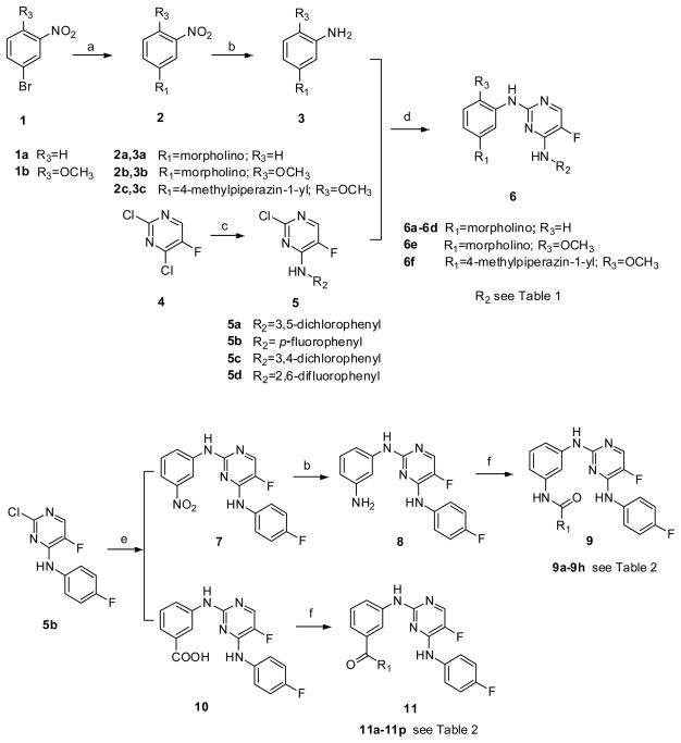 Scheme 1