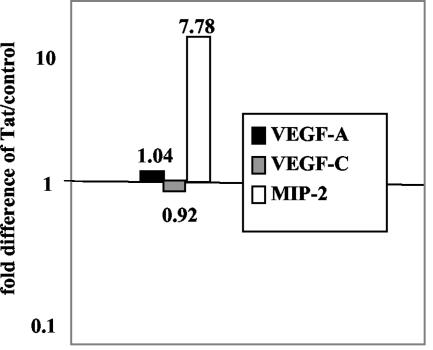 FIG. 5.