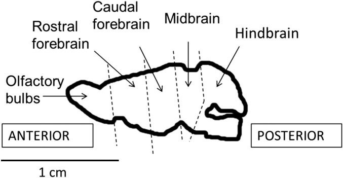 Fig. S4.