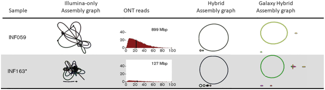 Figure 1: