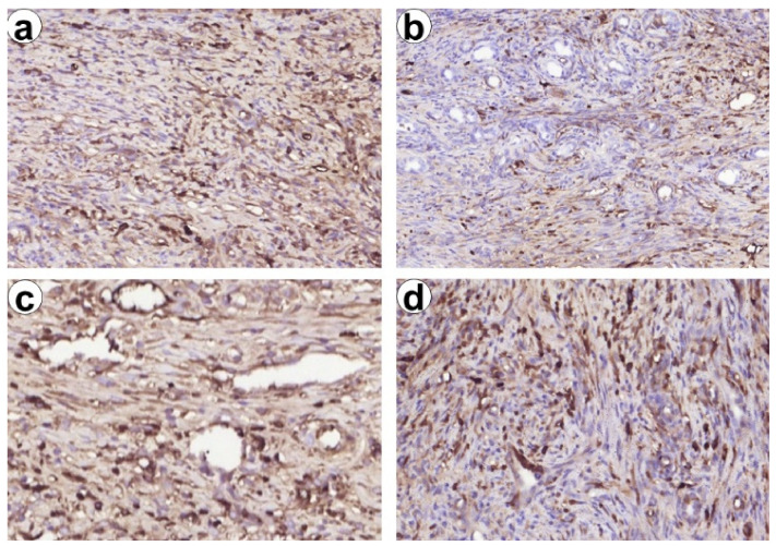 Figure 10