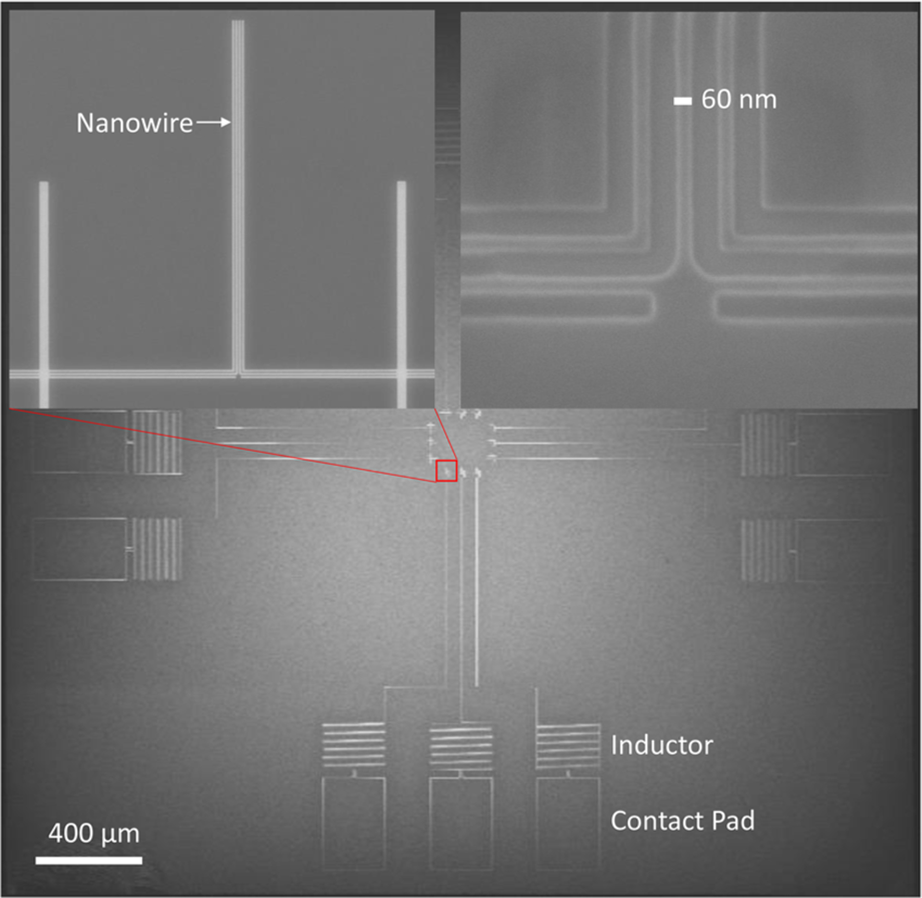 FIG. 2.