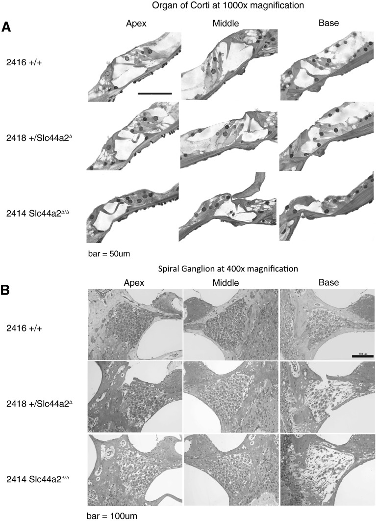 FIG. 9