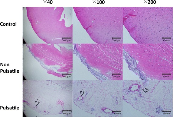 Fig. 4