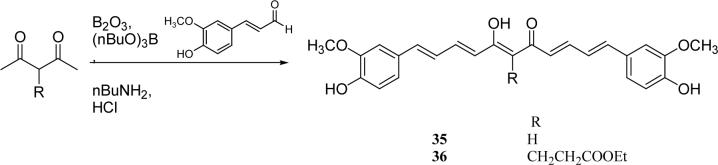 Scheme 5