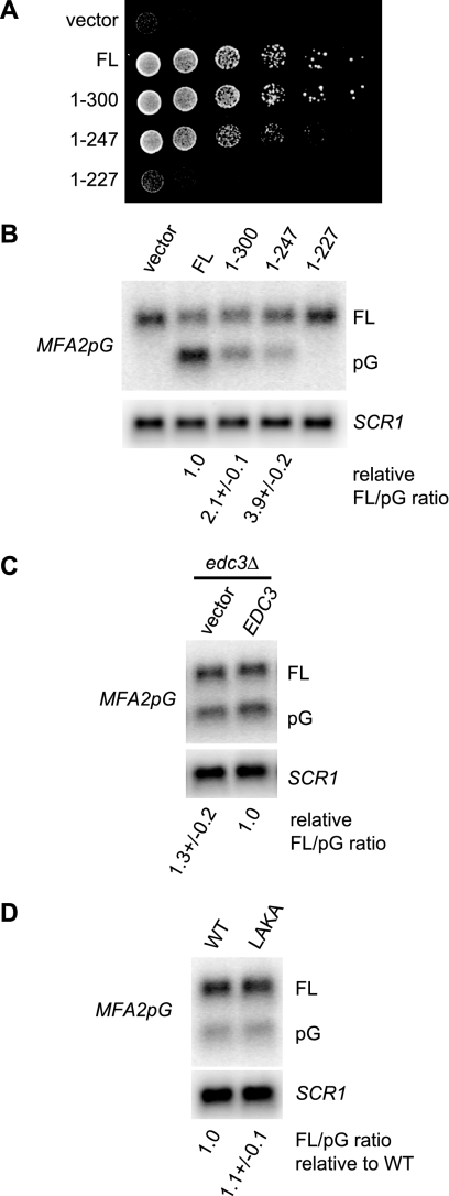 FIG. 6.