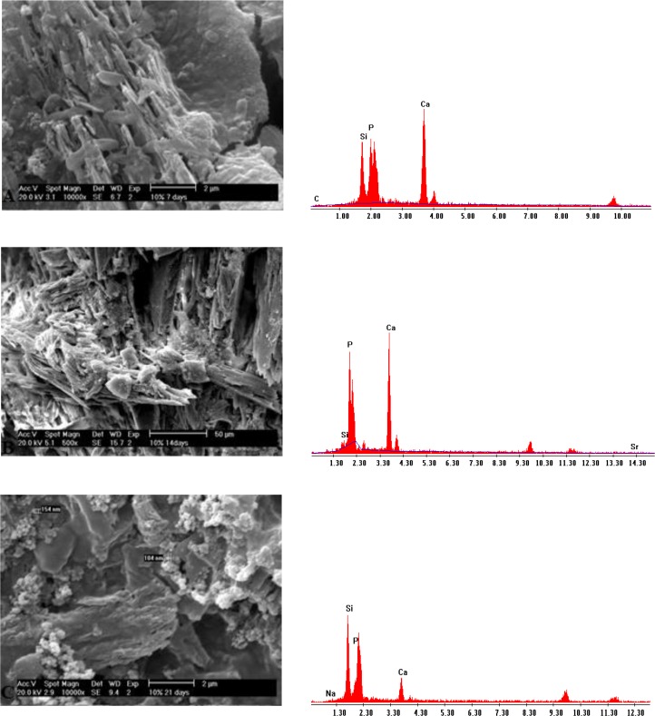 Fig. 5: