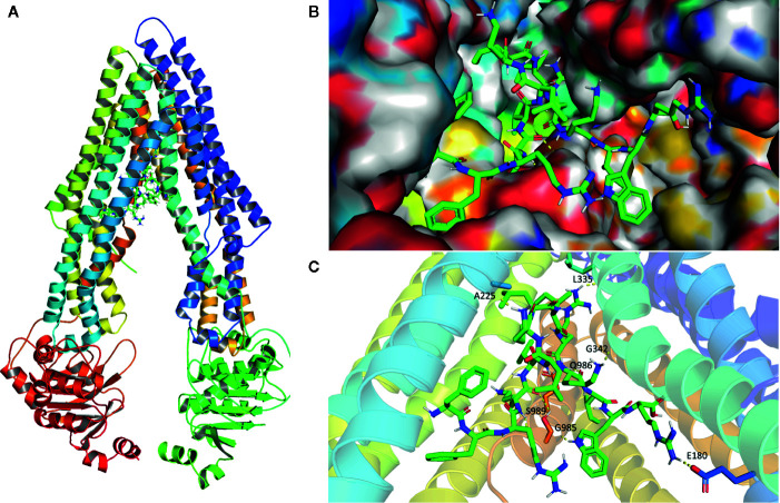 Figure 6