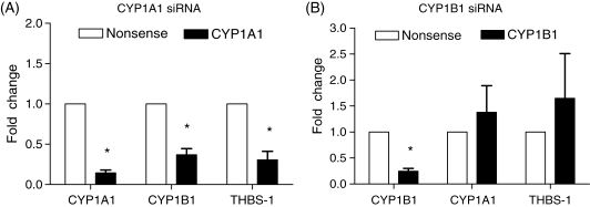 Figure 5