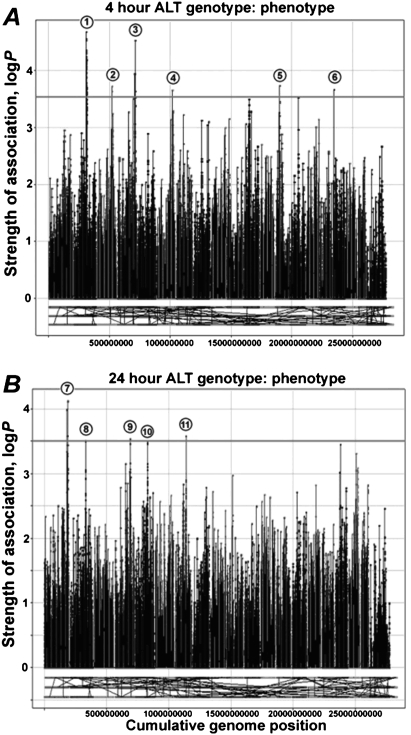 Figure 4.