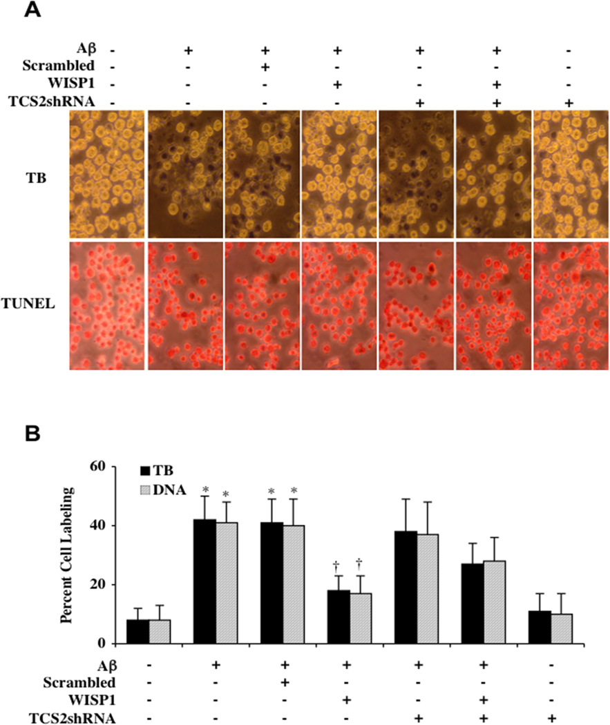 Fig. (3)