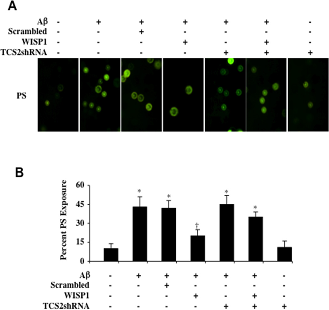 Fig. (4)